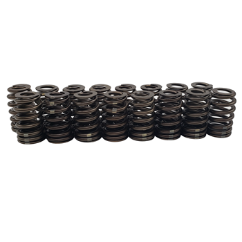 GM High Performance LS .550" Lift Springs - MailOrder Tuner